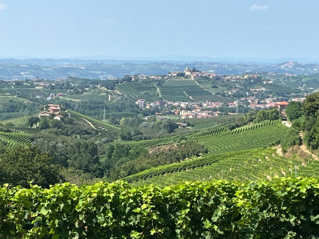 Cascina in Vendita a Neviglie