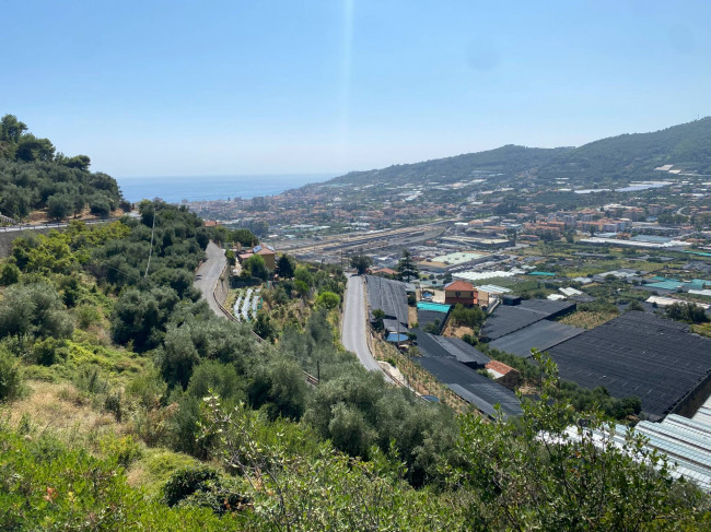 Terreno Agricolo in vendita a Taggia