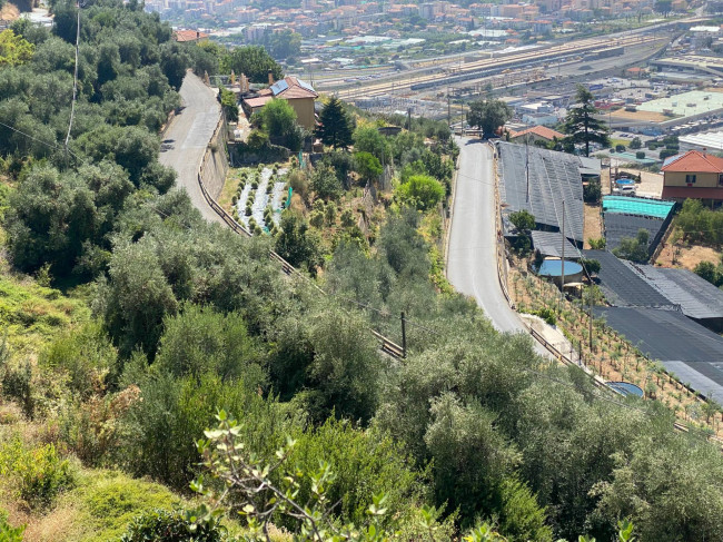 Terreno Agricolo in vendita a Taggia