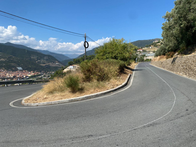 Terreno Agricolo in vendita a Taggia