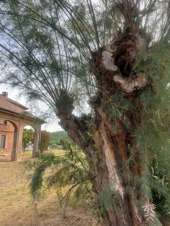 Casale in Vendita a Bruno