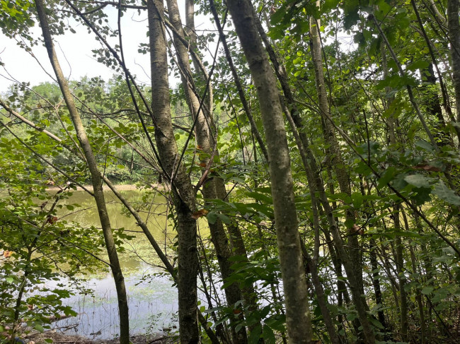 Casale in Vendita a Bruno