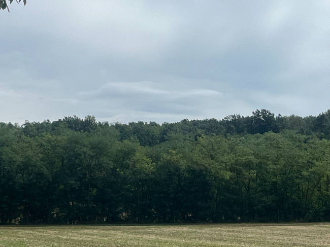 Casale in Vendita a Bruno