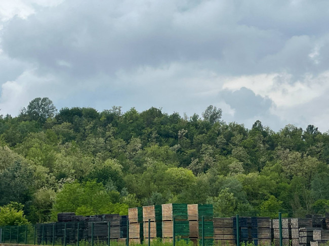 Attività Commerciale - Hotel in Vendita a Castell'Alfero