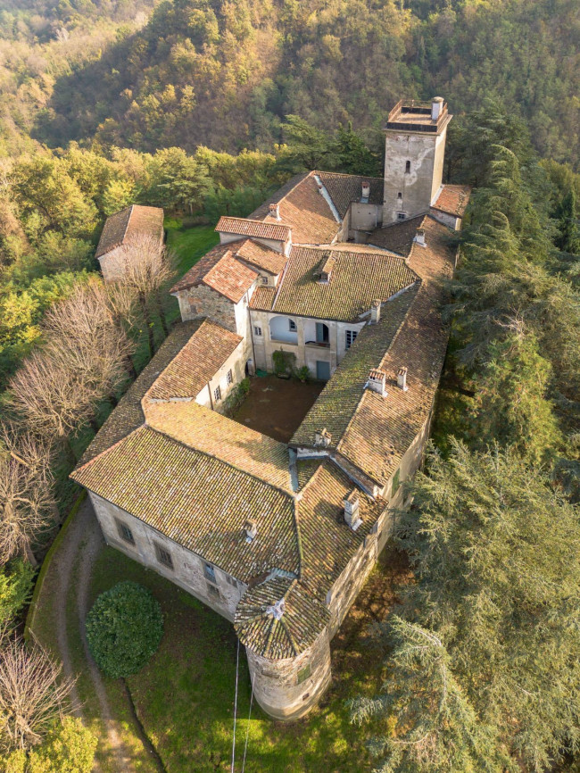 Castello in vendita