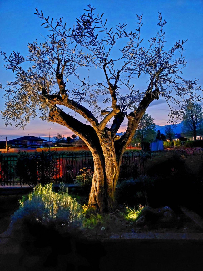 Villa in Vendita a Barbania