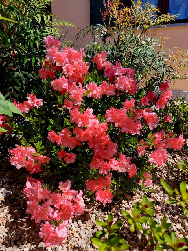 Villa in Vendita a Barbania