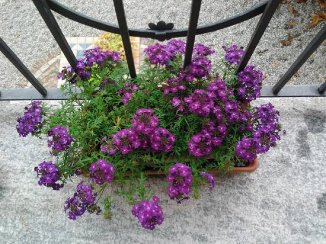 Villa in  Sell to Castiglione Torinese