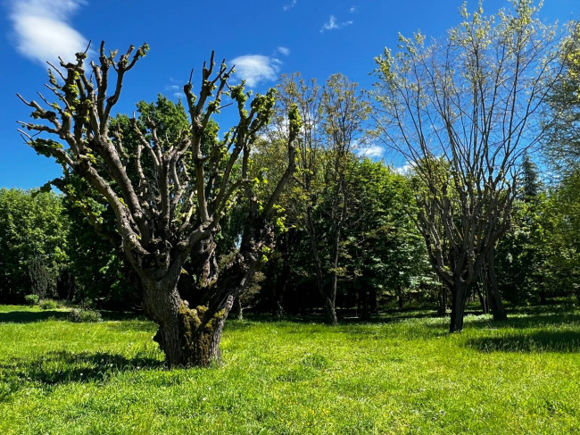 Villa in Vendita a Valenza