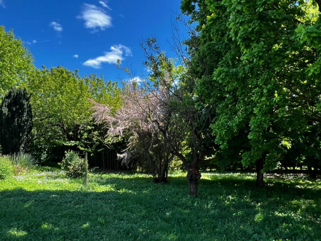 Villa in Vendita a Valenza