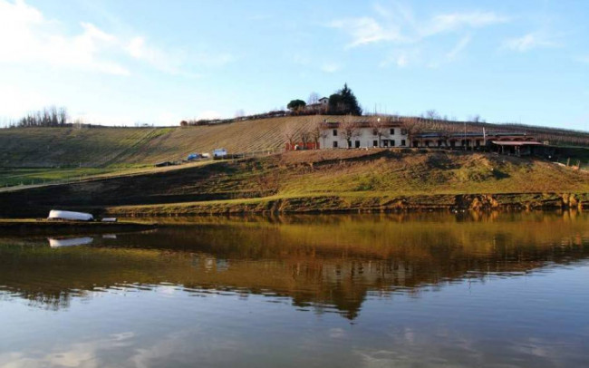 Azienda agricola in Vendita a Carpeneto