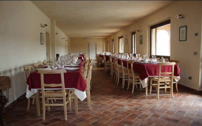 Azienda agricola in Vendita a Carpeneto