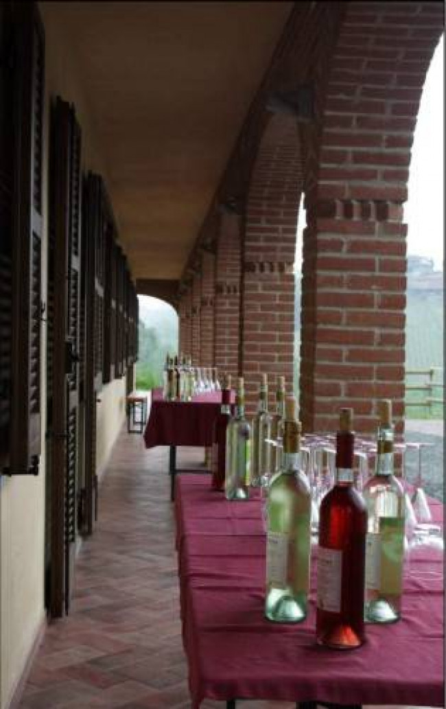 Azienda agricola in Vendita a Carpeneto