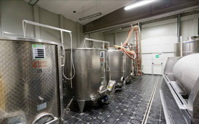 Azienda agricola in Vendita a Carpeneto