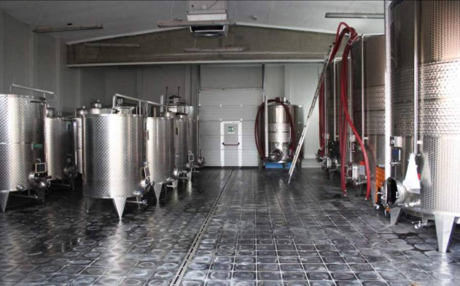 Azienda agricola in Vendita a Carpeneto