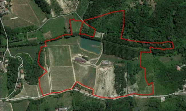 Azienda agricola in Vendita a Carpeneto