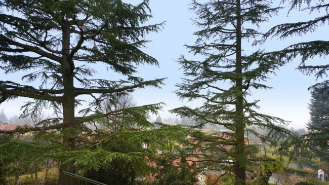 Villa in vendita a Pino Torinese