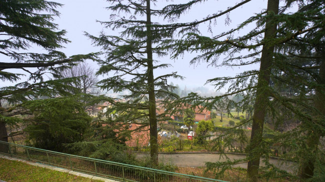 Villa in vendita a Pino Torinese