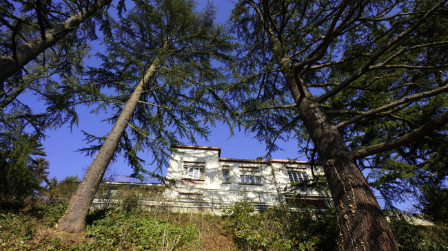 Villa in vendita a Pino Torinese