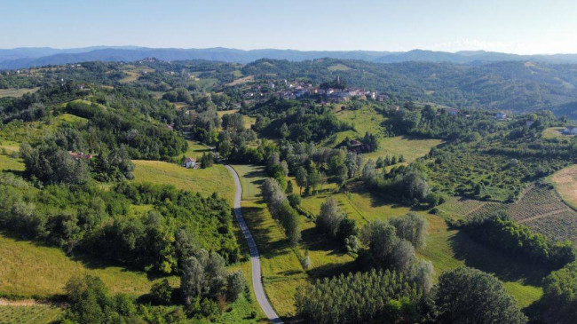 Azienda agricola in Vendita a Carpeneto