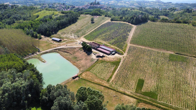 Azienda agricola in vendita