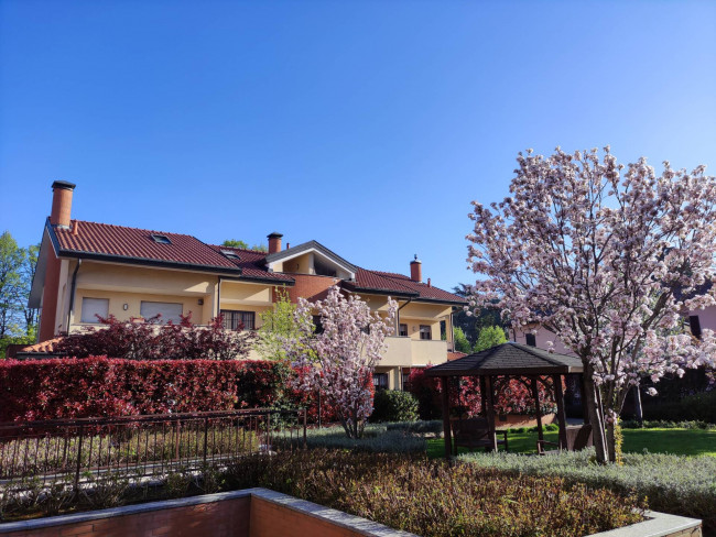  for Sale to Rozzano