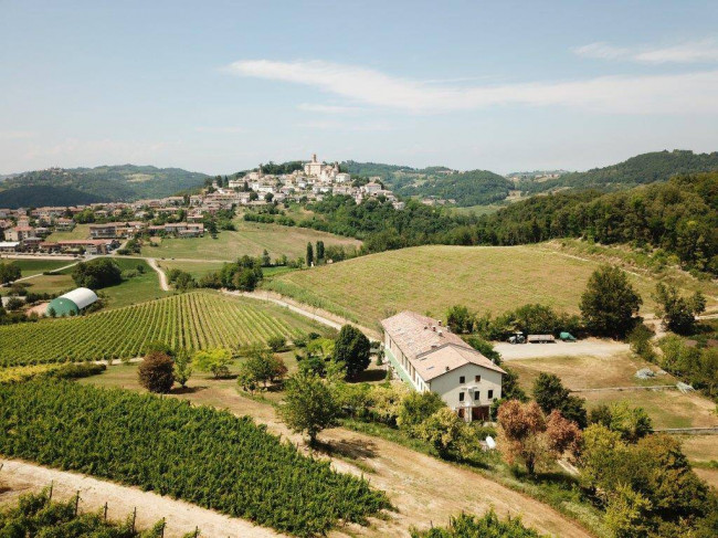 Azienda agricola in vendita