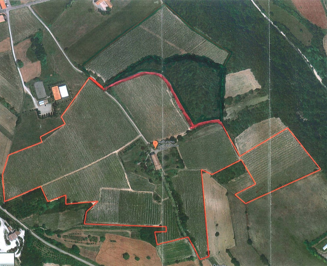 Azienda agricola in Vendita a Murisengo