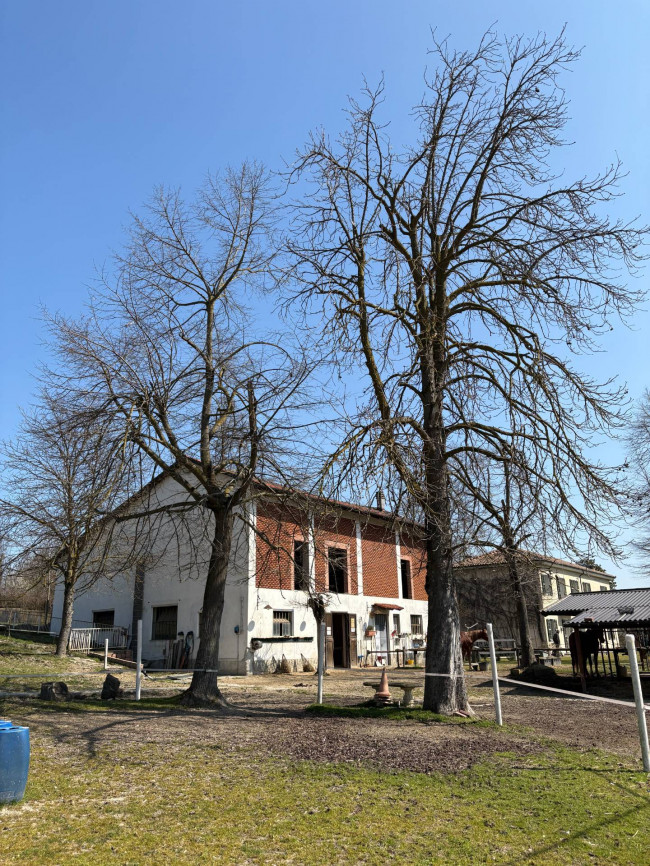 Cascina in Vendita a Ponzano Monferrato
