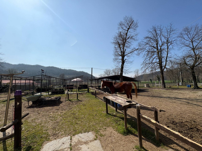 Cascina in Vendita a Ponzano Monferrato