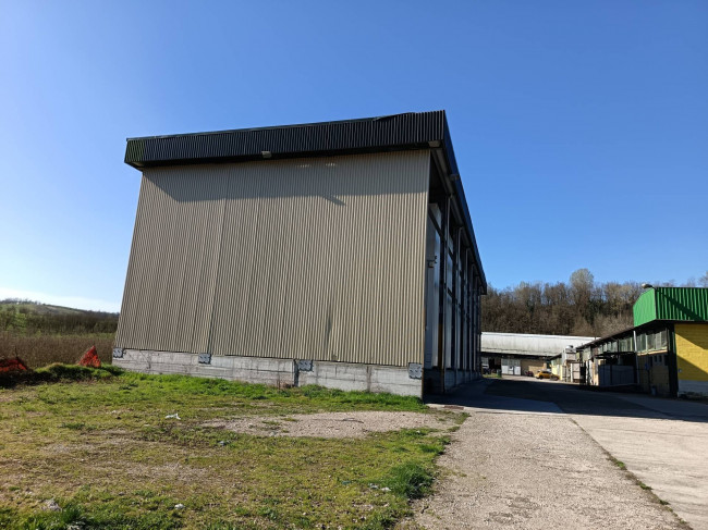 Capannone in Vendita a Settime