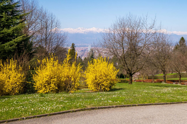 Villa in Vendita a Torino