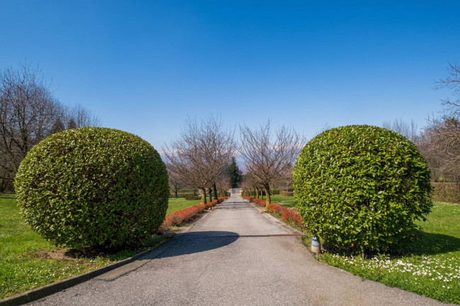 Villa in Vendita a Torino