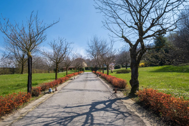 <span>Torino</span> - Collina