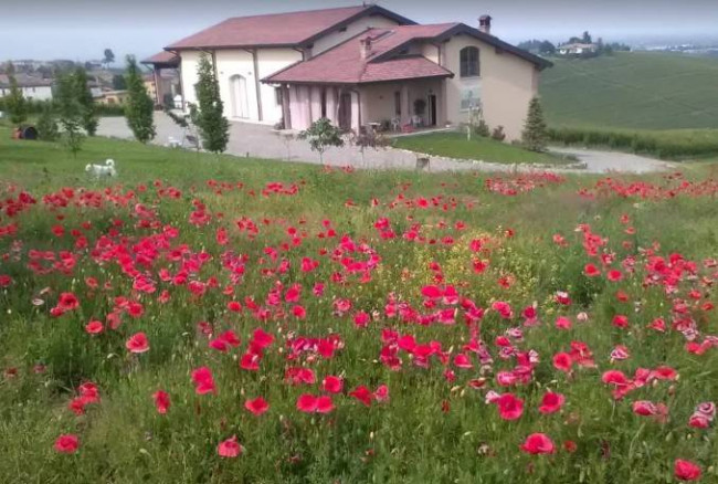 Azienda agricola in vendita