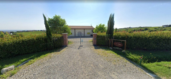 Azienda agricola in vendita