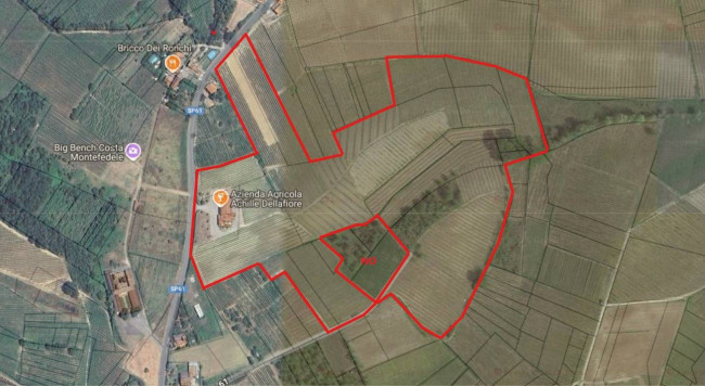 Azienda agricola in Vendita a Montù Beccaria