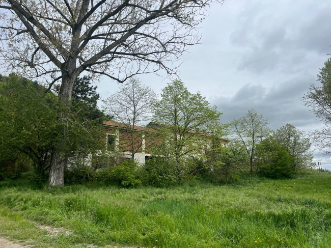 Cascina in vendita
