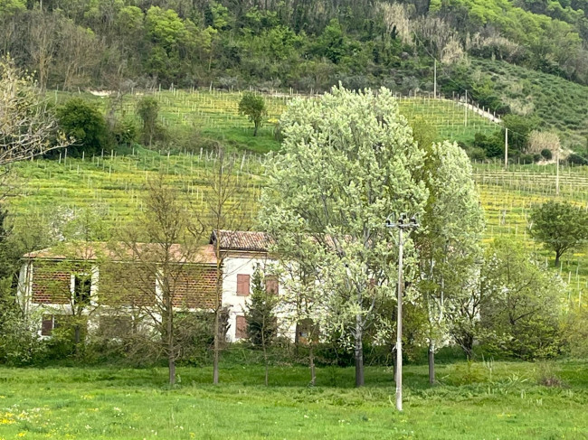 Cascina in vendita