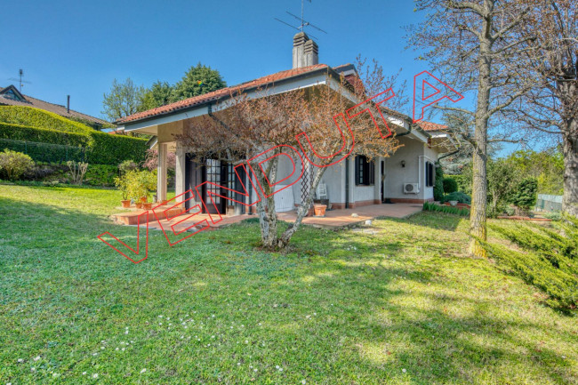  for Sale to Pino Torinese