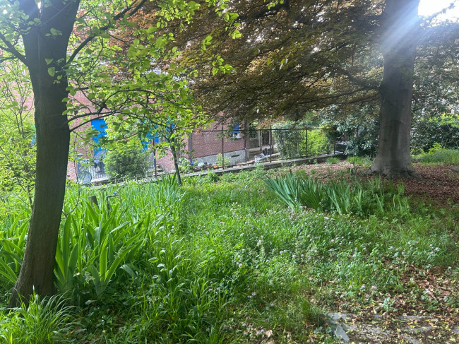 Stanza - Camera in Affitto a Torino