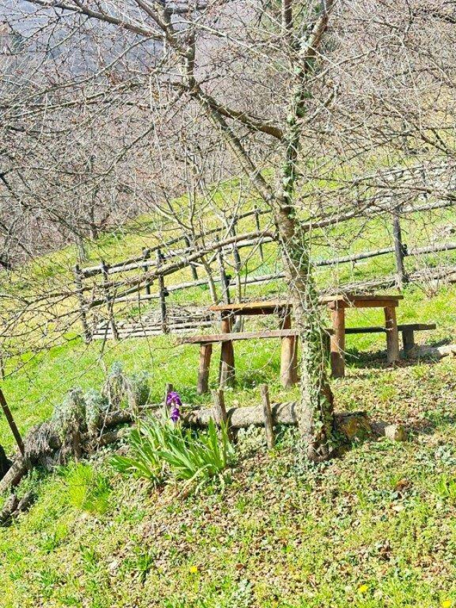 Casa indipendente in Vendita a Chiusa di Pesio