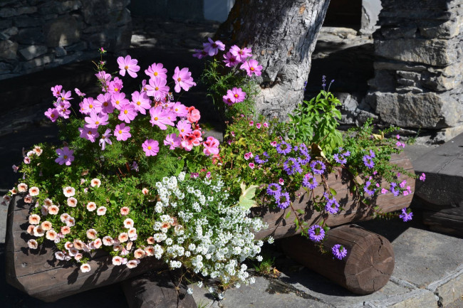 Casa indipendente in vendita a Bardonecchia