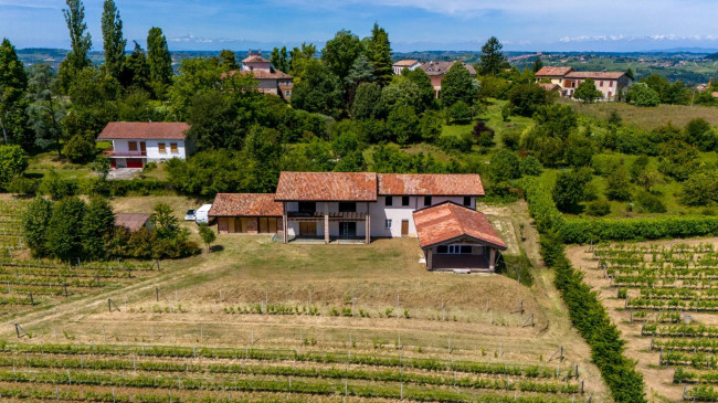 Azienda agricola in Vendita a Costigliole d'Asti