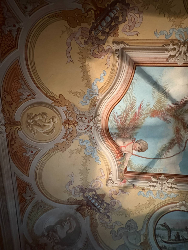 Villa Storica in Vendita a San Salvatore Monferrato