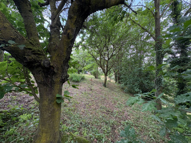 Cascina in Vendita a Villadeati