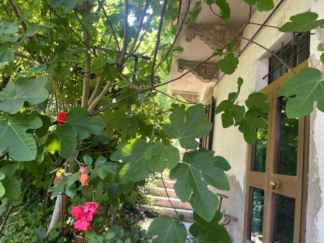 Porzione di casa in Vendita a Cocconato