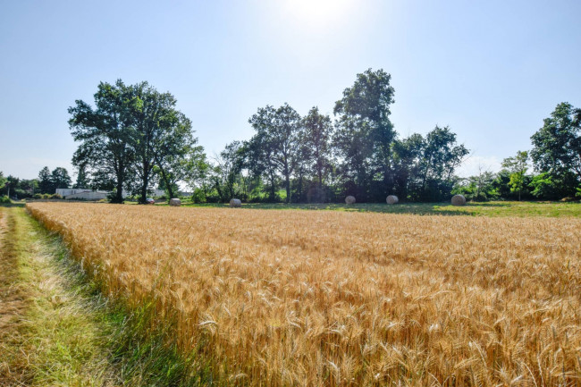 Terreno Agricolo in vendita a Andezeno