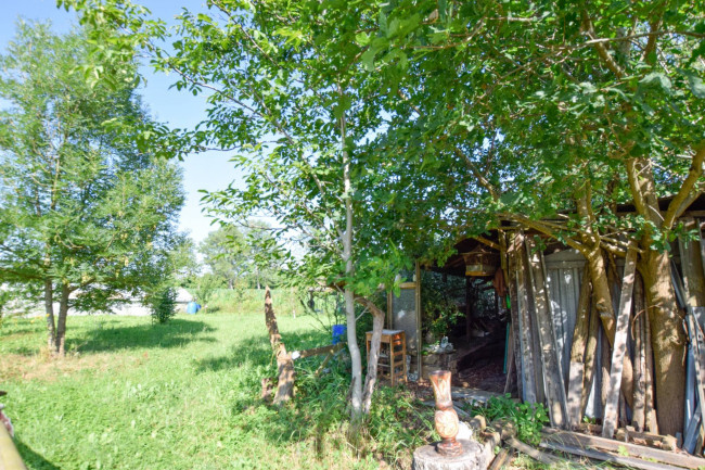 Terreno Agricolo in vendita a Andezeno