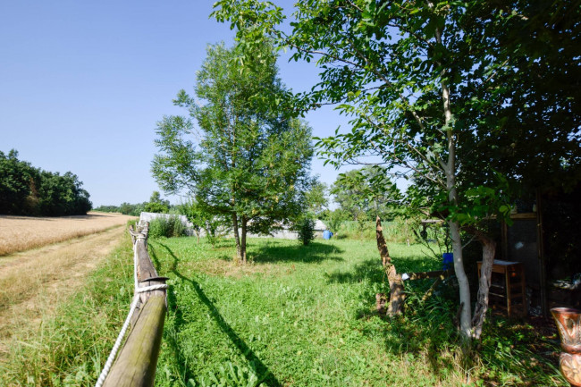 Terreno Agricolo in vendita a Andezeno